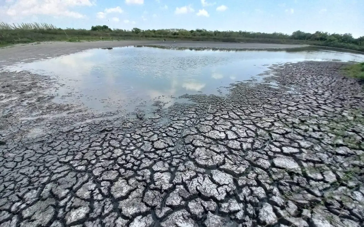 Sequía acaba con presas de Tamaulipas 